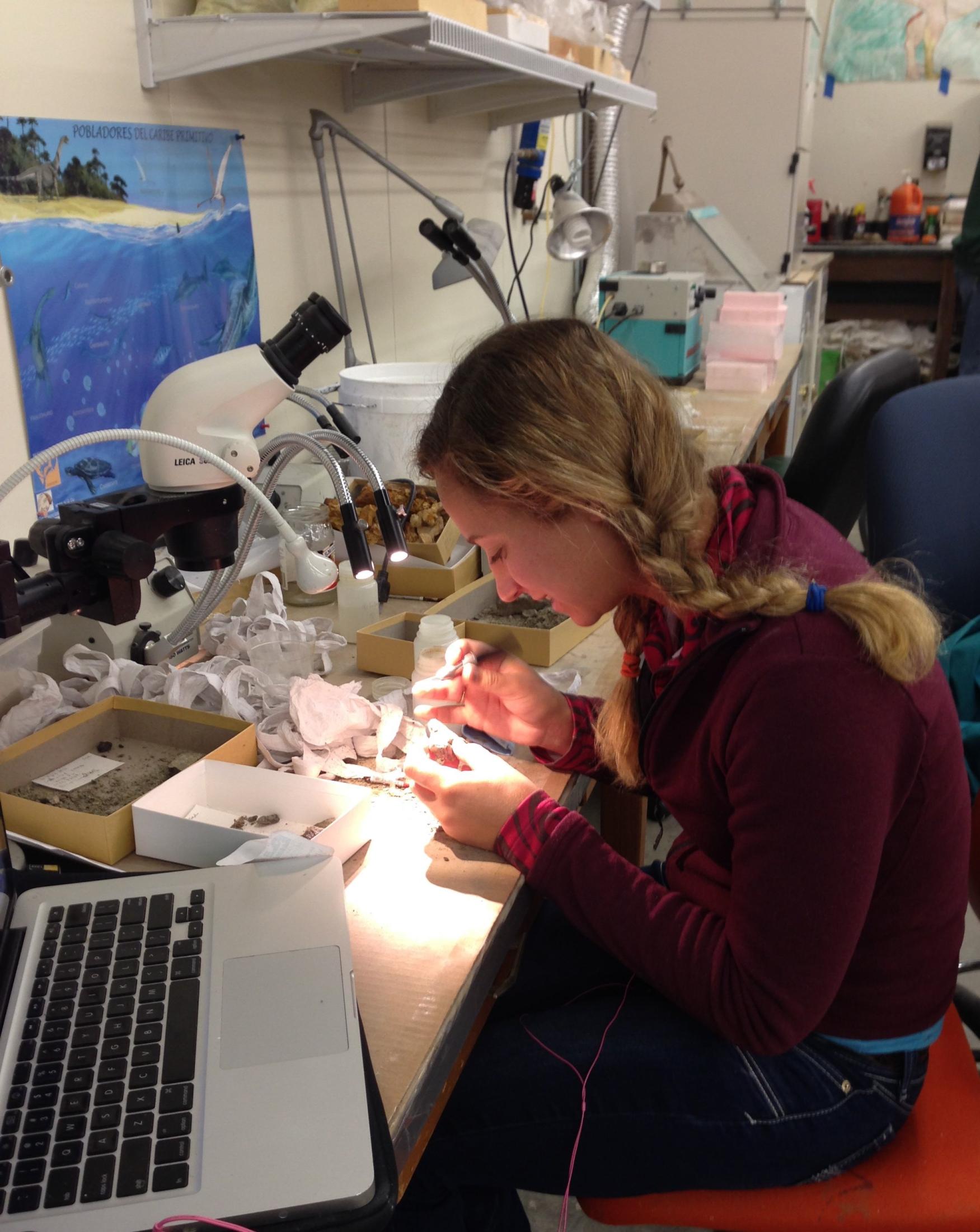Geology Washington Program