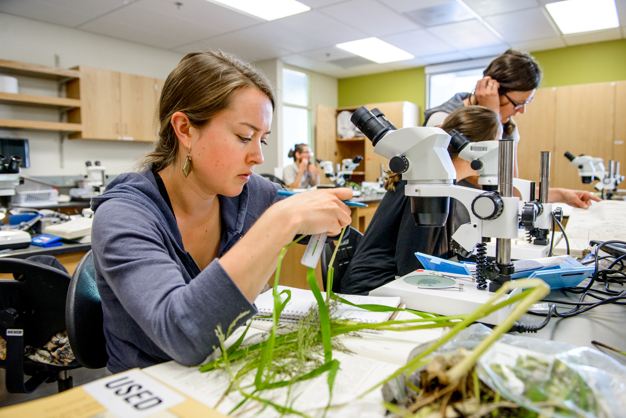 plant biology phd programs