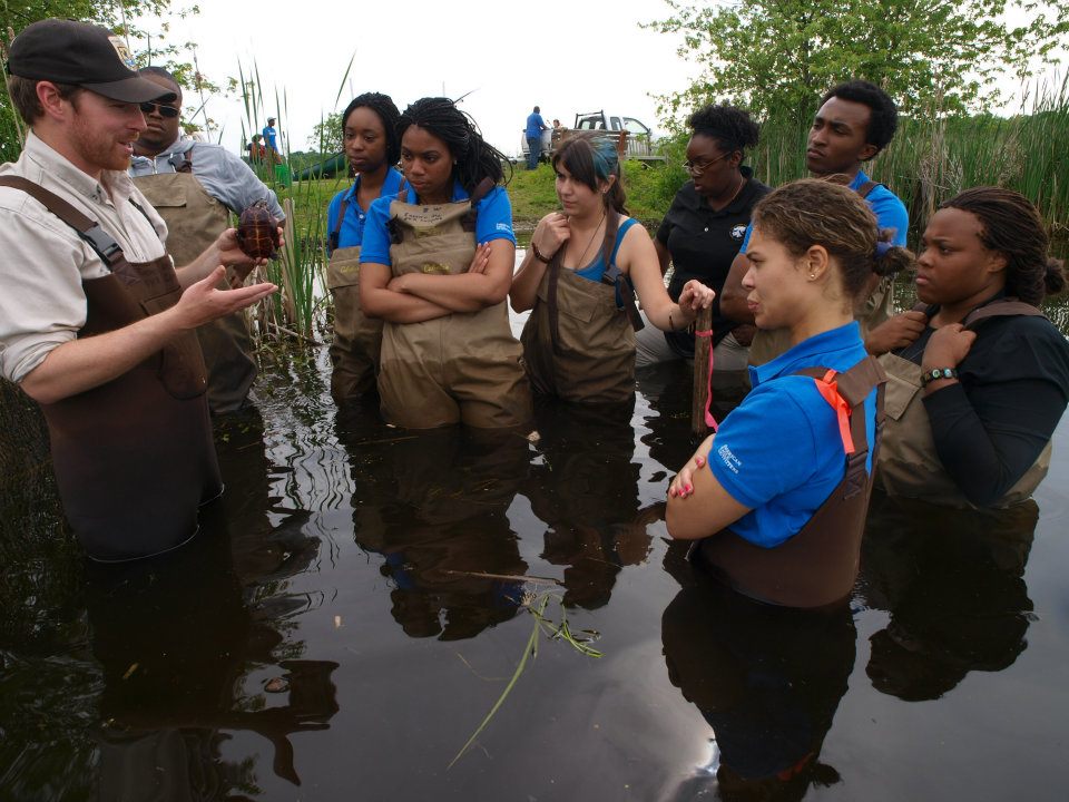 Wildlife, Fish and Conservation Biology Washington Program