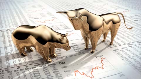 Bull and bear