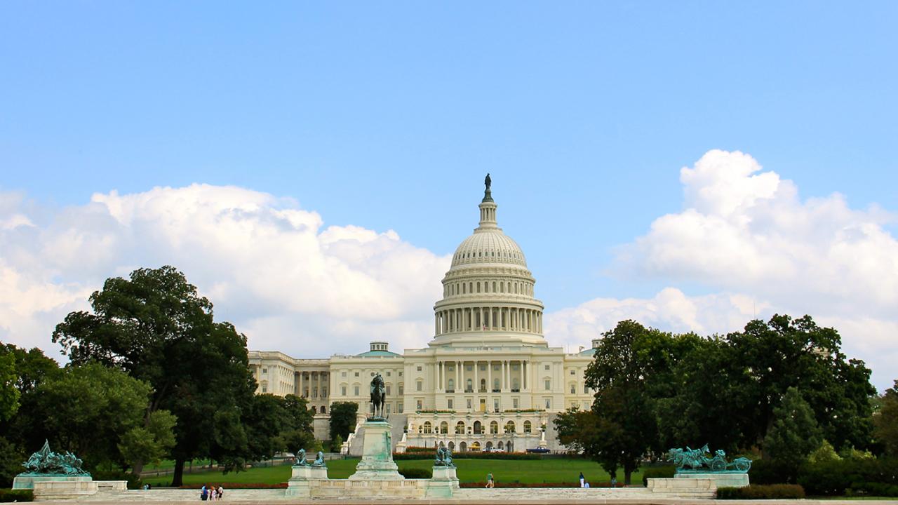 Washington DC in the Summer
