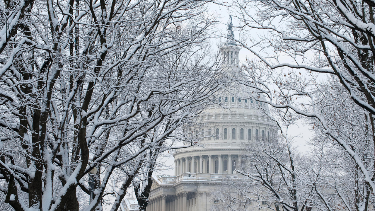 Washington DC in Winter