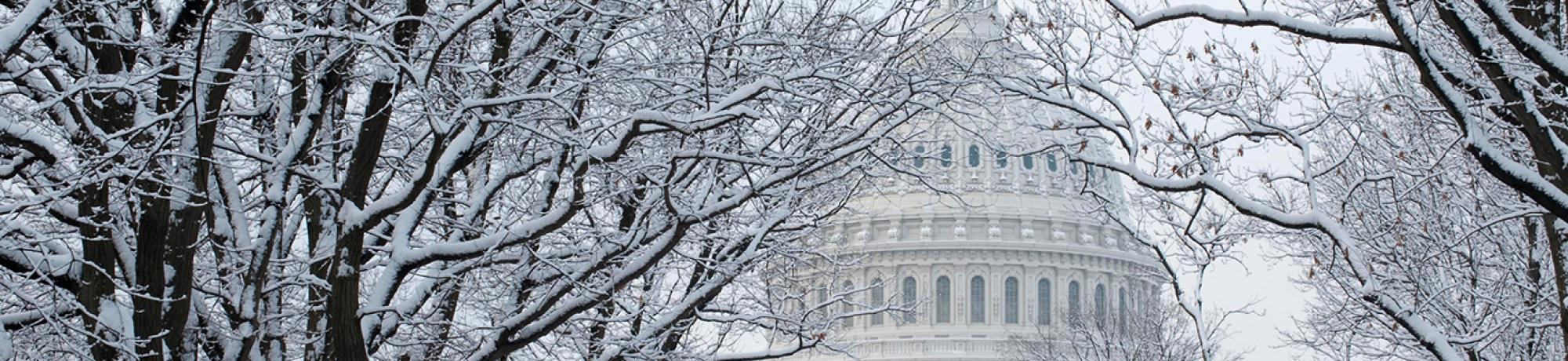 Washington DC in Winter